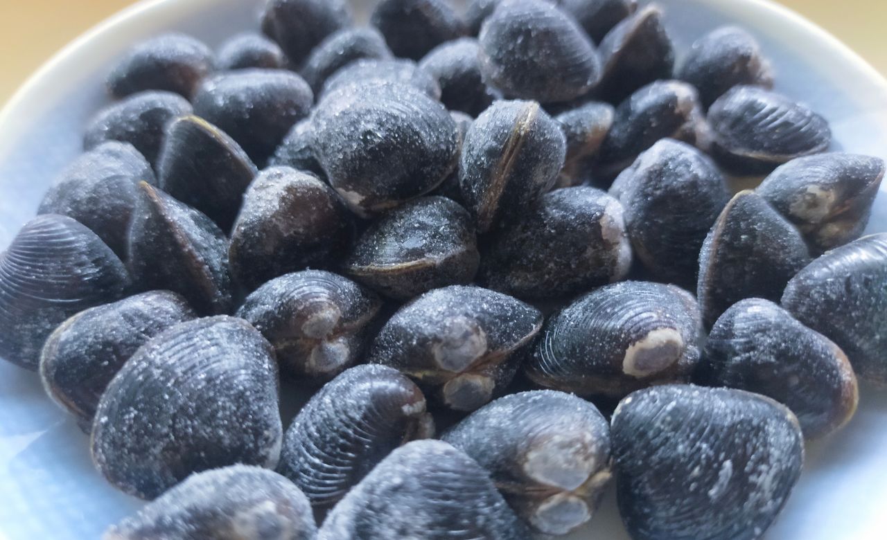 しじみの砂抜き後冷凍