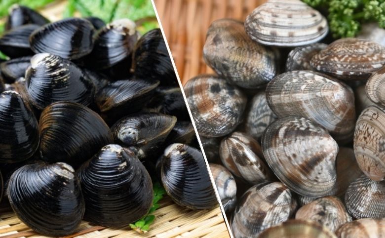 しじみとアサリはどちらが鉄分豊富？栄養・効能を徹底比較
