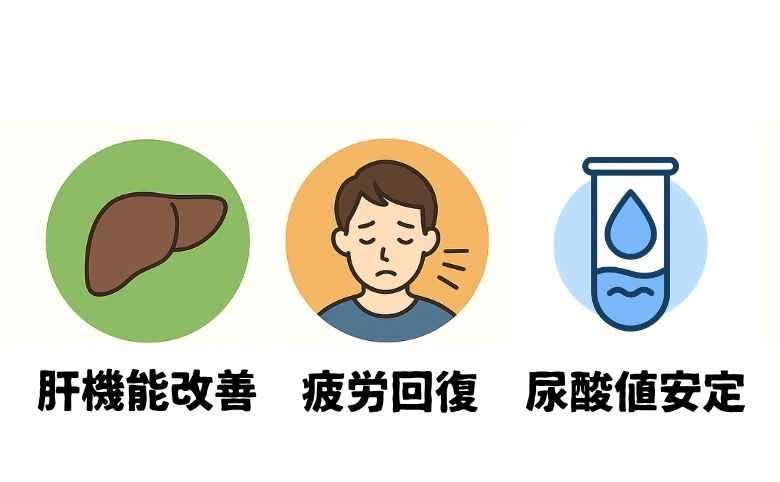 しじみの健康効果｜肝機能・疲労回復・尿酸値への影響