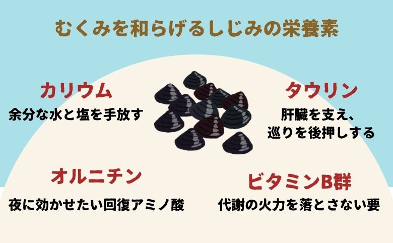 むくみを和らげるしじみの栄養素