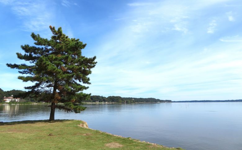 茨城県の涸沼のしじみ