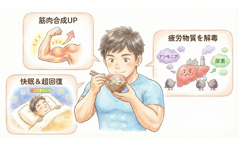 筋トレ民にこそ「しじみ（オルニチン）」が必要な3つの理由