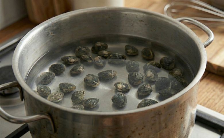 必ず「凍ったまま」水へ入れる理由