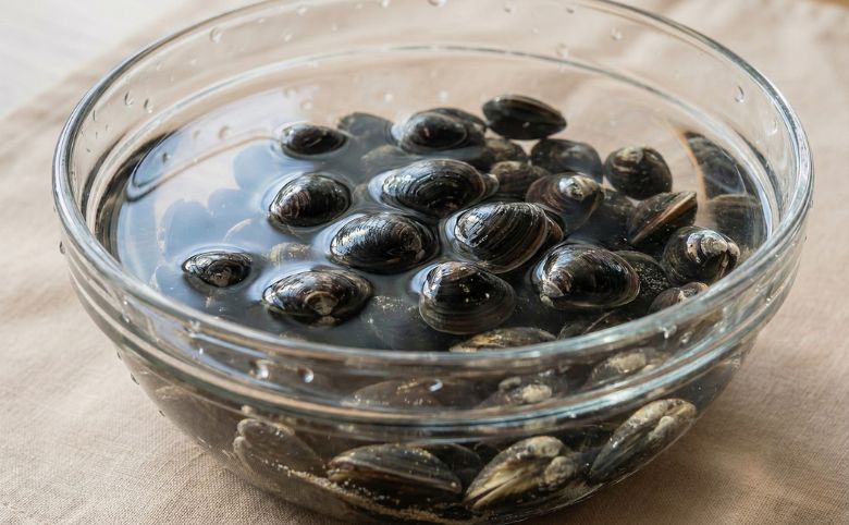 失敗なし!旨味を最大化する正しい「冷凍保存」の手順