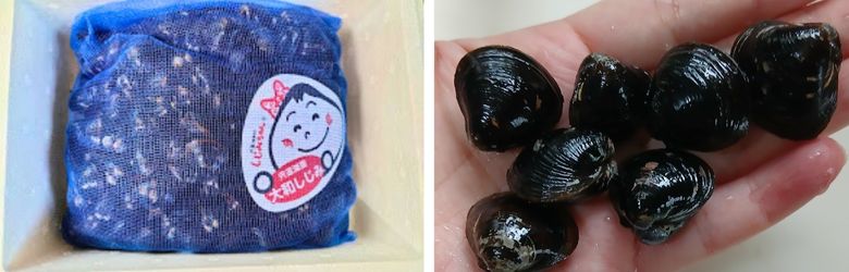 コクヨーの特大しじみ