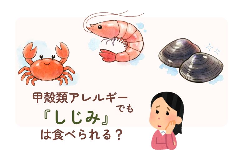 甲殻類アレルギーでも「しじみ」は食べられる?基本の結論