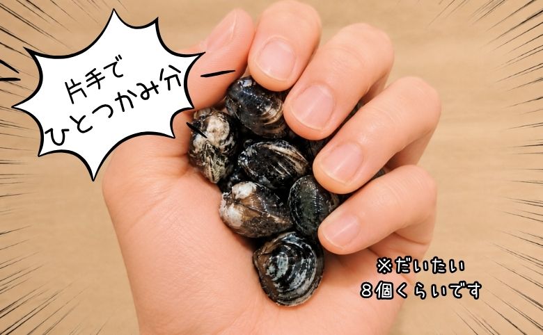 しじみ一掴み分